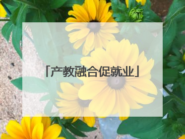 产教融合促就业