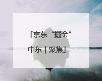 京东“掘金”中东｜聚焦