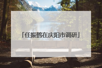 任振鹤在庆阳市调研