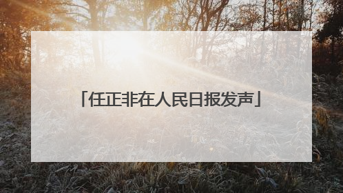 任正非在人民日报发声