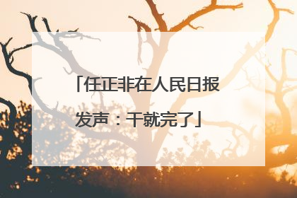 任正非在人民日报发声：干就完了