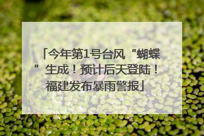 今年第1号台风“蝴蝶”生成！预计后天登陆！福建发布暴雨警报