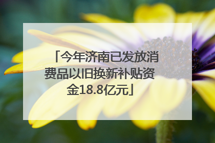 今年济南已发放消费品以旧换新补贴资金18.8亿元