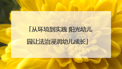 从环境到实践 阳光幼儿园让法治浸润幼儿成长