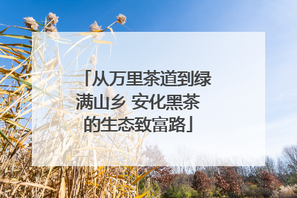 从万里茶道到绿满山乡 安化黑茶的生态致富路