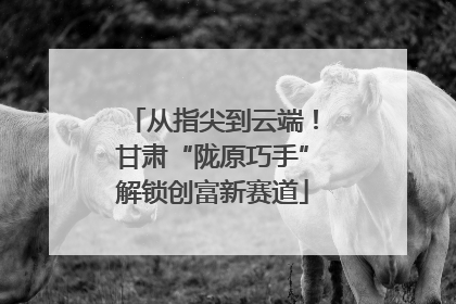 从指尖到云端！甘肃“陇原巧手”解锁创富新赛道