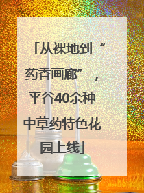 从裸地到“药香画廊”，平谷40余种中草药特色花园上线