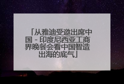 从雅迪受邀出席中国－印度尼西亚工商界晚餐会看中国智造出海的底气