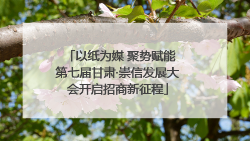以纸为媒 聚势赋能 第七届甘肃·崇信发展大会开启招商新征程