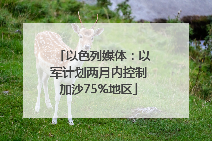 以色列媒体：以军计划两月内控制加沙75%地区