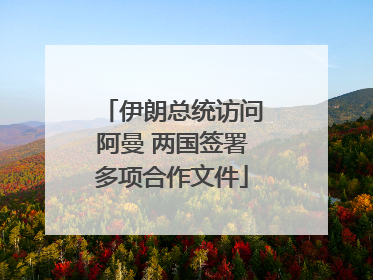 伊朗总统访问阿曼 两国签署多项合作文件