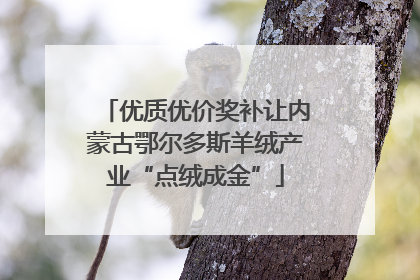 优质优价奖补让内蒙古鄂尔多斯羊绒产业“点绒成金”