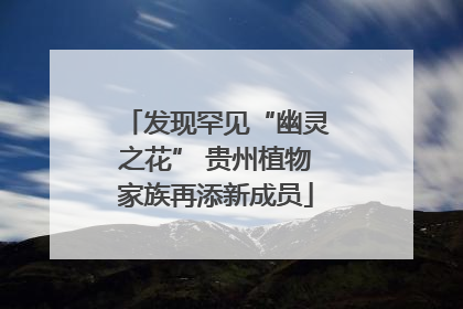 发现罕见“幽灵之花” 贵州植物家族再添新成员