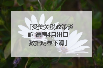 受美关税政策影响 德国4月出口数据明显下滑