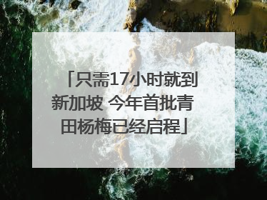 只需17小时就到新加坡 今年首批青田杨梅已经启程