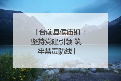 台前县侯庙镇：坚持党建引领 筑牢禁毒防线
