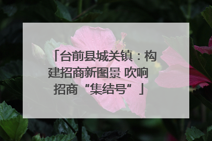 台前县城关镇：构建招商新图景 吹响招商“集结号”