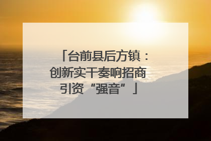台前县后方镇：创新实干奏响招商引资“强音”