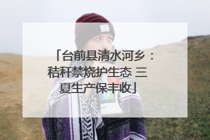 台前县清水河乡：秸秆禁烧护生态 三夏生产保丰收