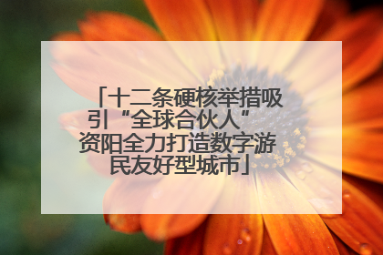 十二条硬核举措吸引“全球合伙人” 资阳全力打造数字游民友好型城市
