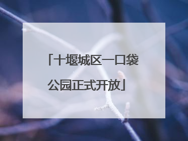 十堰城区一口袋公园正式开放