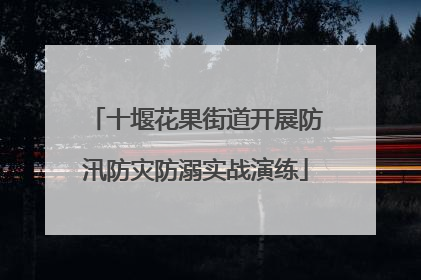 十堰花果街道开展防汛防灾防溺实战演练
