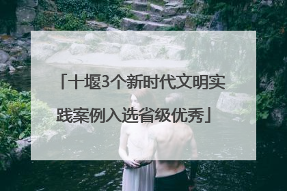 十堰3个新时代文明实践案例入选省级优秀