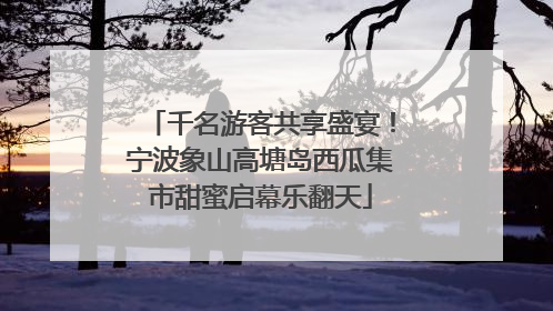 千名游客共享盛宴！宁波象山高塘岛西瓜集市甜蜜启幕乐翻天