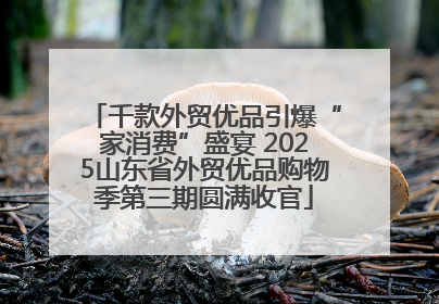 千款外贸优品引爆“家消费”盛宴 2025山东省外贸优品购物季第三期圆满收官