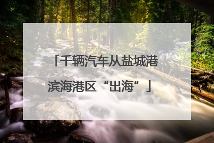 千辆汽车从盐城港滨海港区“出海”