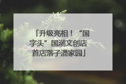 升级亮相！“国字头”国潮文创店首店落子潘家园