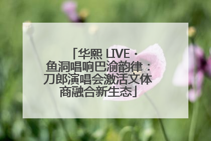 华熙 LIVE・鱼洞唱响巴渝韵律：刀郎演唱会激活文体商融合新生态