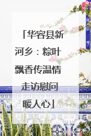 华容县新河乡：粽叶飘香传温情 走访慰问暖人心