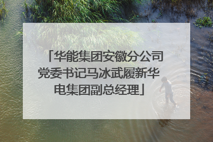 华能集团安徽分公司党委书记马冰武履新华电集团副总经理