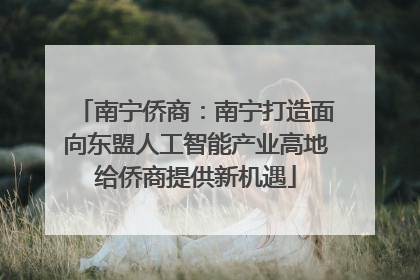 南宁侨商：南宁打造面向东盟人工智能产业高地给侨商提供新机遇