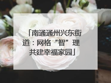 南通通州兴东街道：网格“智”理 共建幸福家园