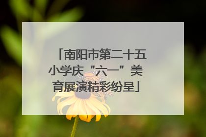 南阳市第二十五小学庆“六一”美育展演精彩纷呈