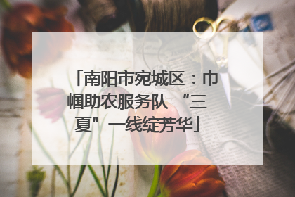 南阳市宛城区：巾帼助农服务队 “三夏”一线绽芳华