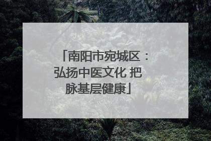 南阳市宛城区：弘扬中医文化 把脉基层健康