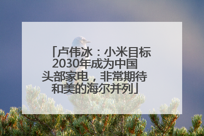 卢伟冰：小米目标2030年成为中国头部家电，非常期待和美的海尔并列