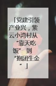 党建引领产业兴，紫云小湾村从 “靠天吃饭” 到 “抱团生金”