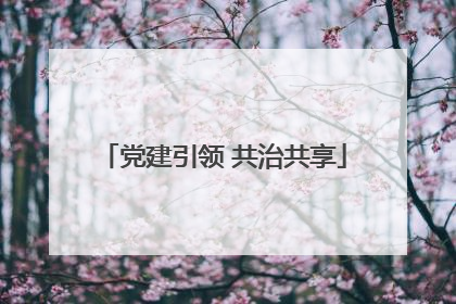 党建引领 共治共享