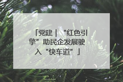 党建｜“红色引擎”助民企发展驶入“快车道”