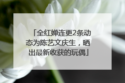 全红婵连更2条动态为陈艺文庆生，晒出最新收获的玩偶