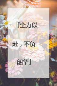 全力以赴，不负韶华