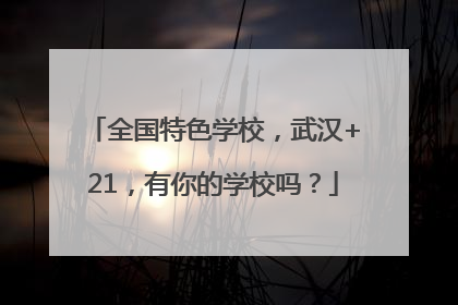 全国特色学校，武汉+21，有你的学校吗？