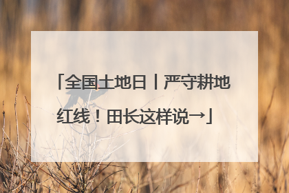 全国土地日丨严守耕地红线！田长这样说→
