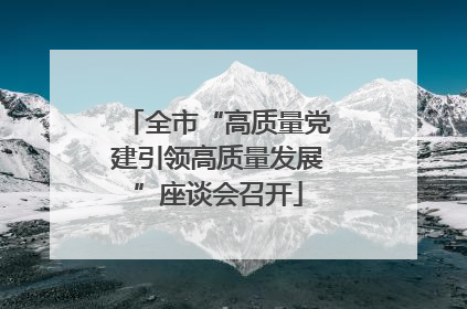 全市“高质量党建引领高质量发展”座谈会召开