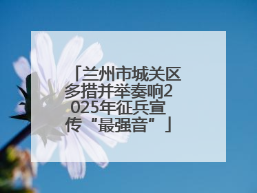 兰州市城关区多措并举奏响2025年征兵宣传“最强音”