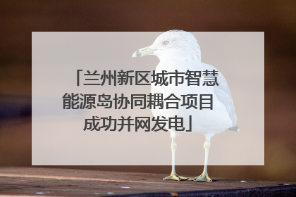 兰州新区城市智慧能源岛协同耦合项目成功并网发电